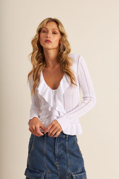 the ANNIE top