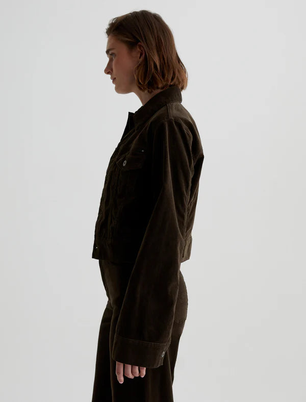 the ISA jacket, rich umber